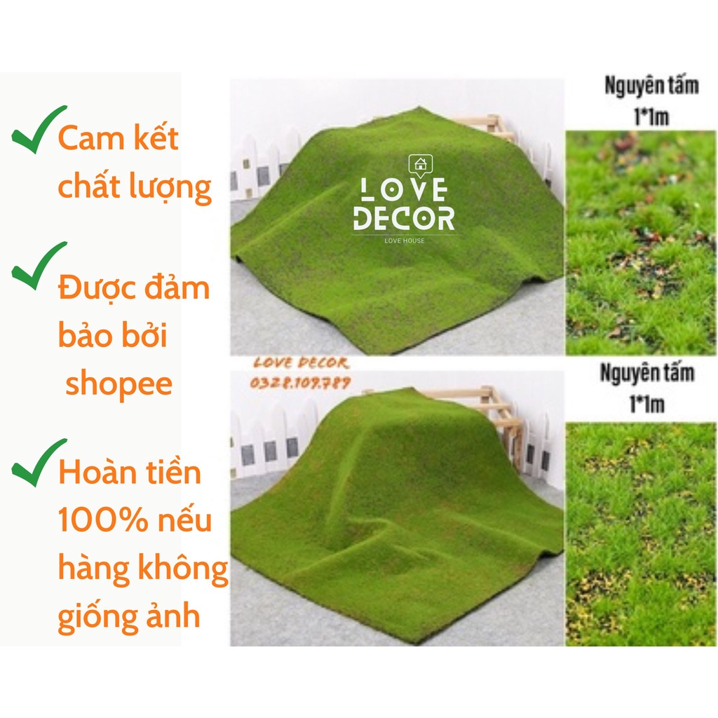Thảm cỏ rêu nhân tạo decor nguyên tấm 1m*1m | Shopee Việt Nam