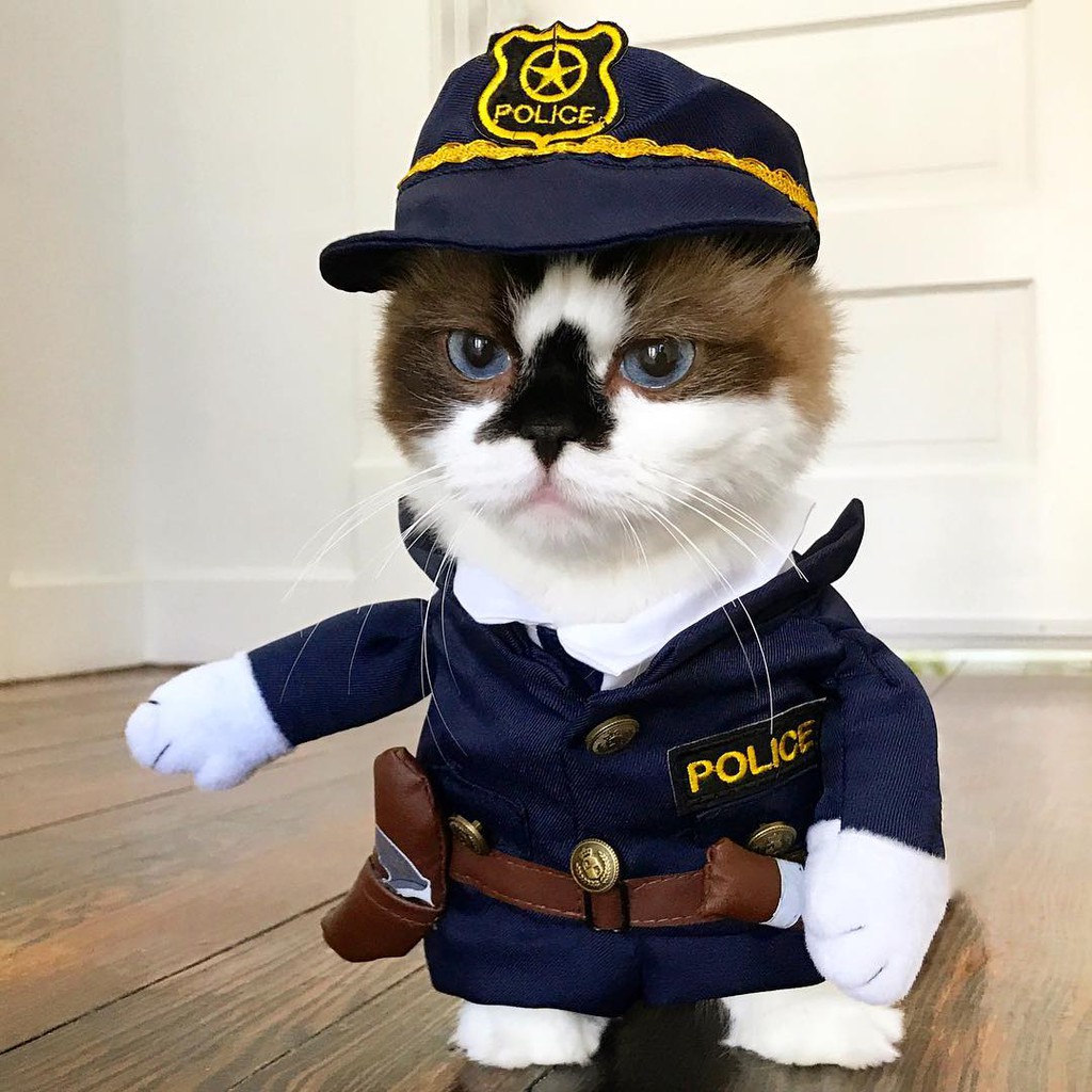 Áo chó mèo cosplay cảnh sát có súng A47 | Shopee Việt Nam