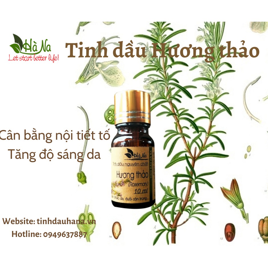 Tinh dầu hương thảo -Nhỏ 2-3 giọt vào sữa chua massage mặt nhẹ nhàng, giúp sang da, mờ thâm nám.- Tinh Dầu Hà Na