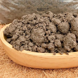 Đất Thịt Trồng Cây (1kg) Nguyên Liệu Trộn Căn Bản