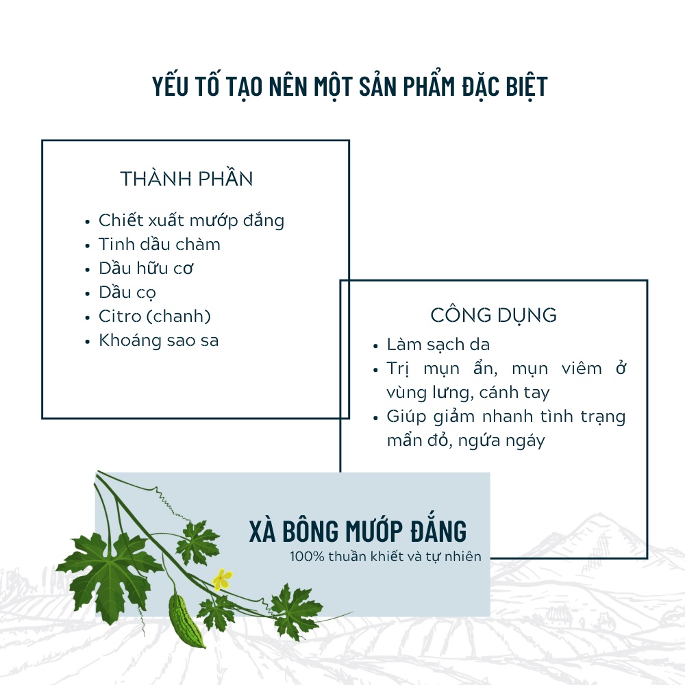 Ảnh Xà Bông Sinh Dược Thiên Nhiên Mướp Đắng DEGO PHARMA 100G Tẩy Tế Bào Chết, Sáng Da, Cải Thiện Làn Da 3