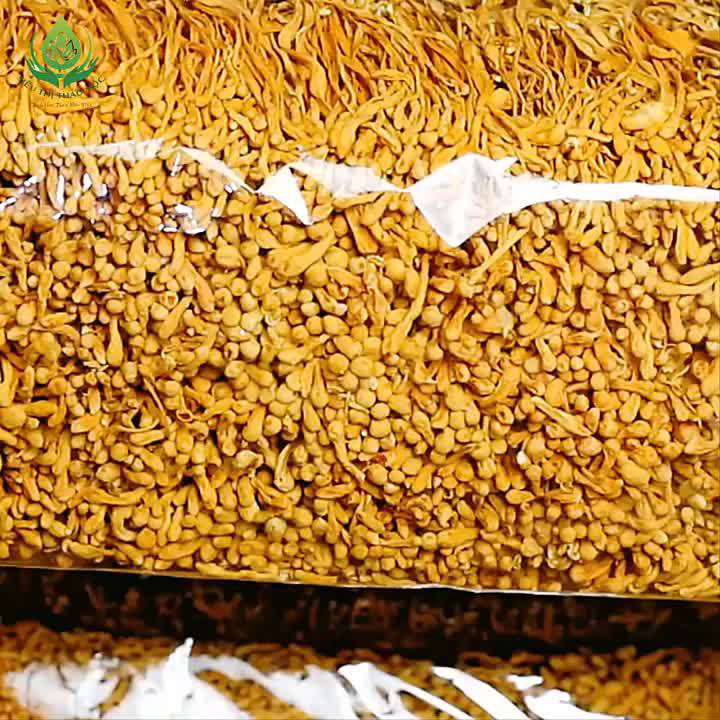 [LOẠI THƯỢNG HẠNG] Đông Trùng Hạ Thảo Sấy Khô Sợi To Ngon Hàng Cao Cấp Bồi Bổ Cơ Thể
