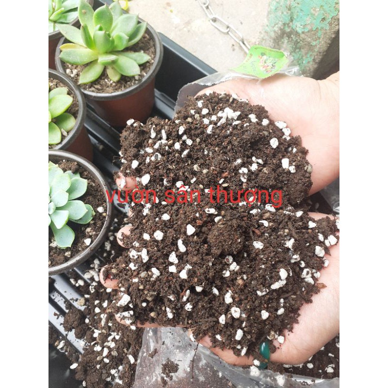 Đất Trồng Sen Đá, Xương Rông Nguyên Liệu Cao Cấp Tự Trộn Gói 200g