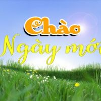 nhanthinguyen1991
