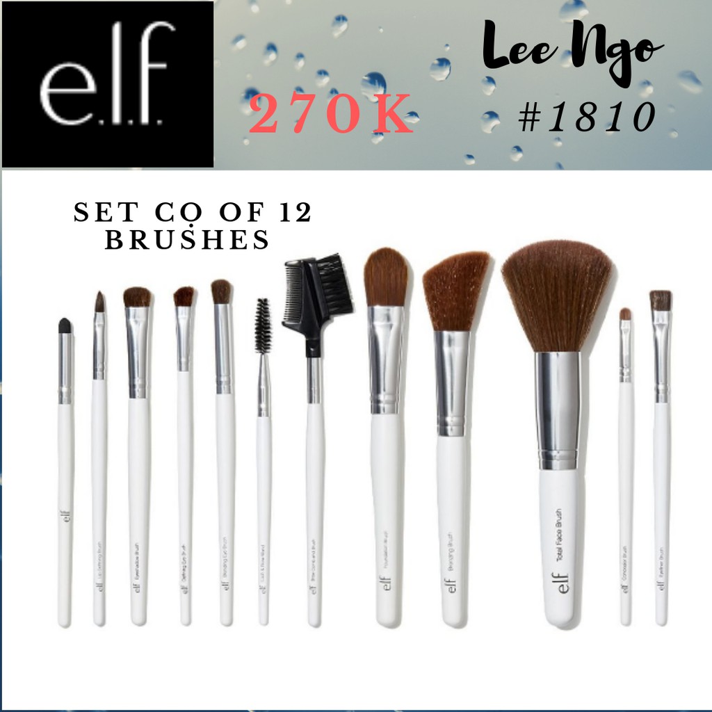 Professional Set of 12 Makeup Brushes