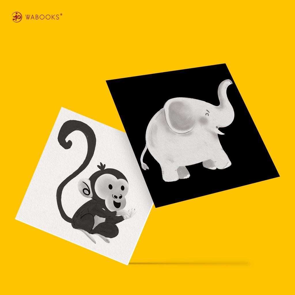 Ảnh Flashcards Kích thích thị giác cho trẻ dưới 18 tháng 2