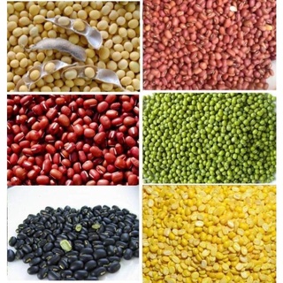 [Rẻ vô địch] [Có sẵn]  500G ĐẬU / ĐỖ CÁC LOẠI : ĐẬU XANH / ĐỎ/ ĐEN XANH LÒNG / PHỘNG / NÀNH/GÀ