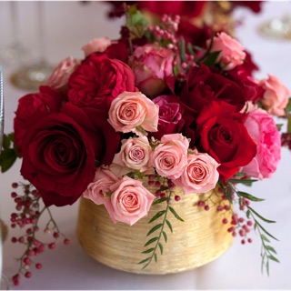 minhtrang.tx