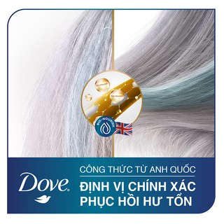 Dầu Gội Dove Phục Hồi Hư Tổn 640g