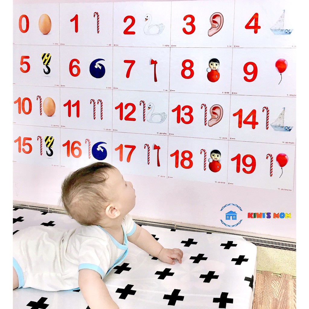 DECAL Số Liên Tưởng KIWI'S MOM 4 lớp cao cấp chống nước
