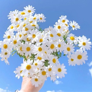 nguyenthutrang12824
