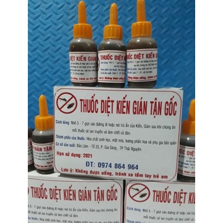 Thuốc Diệt Kiến Gián Anti Ant – Diệt Kiến Gián Sinh Học Hiệu Quả Cao, An Toàn Cho Gia Đình