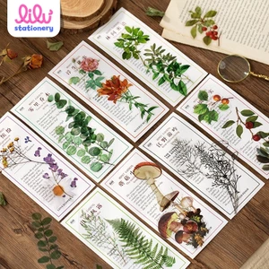 Sticker vintage trang trí hình hoa lá retro trong suốt chống nước HD165-K63 DIY sổ tay bullet journal scrapbook album