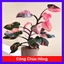 Cây Công Chúa Hồng - Philodendron pink princess - Cây nhỏ,thuần,khoẻ,var mạnh - cây cảnh để bàn