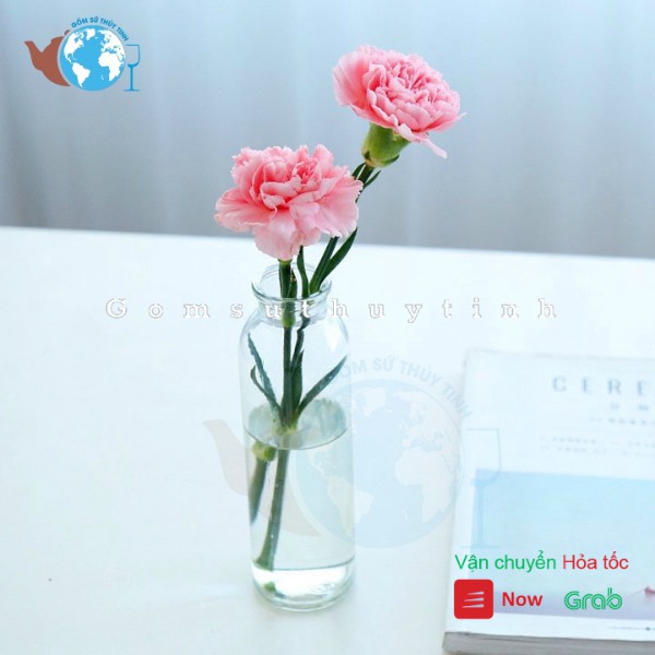 Bình Bông Lọ Cắm Hoa Thuỷ Tinh Tròn 1 Cành + Tặng Kèm Dây Dừa Trang Trí |  Shopee Việt Nam