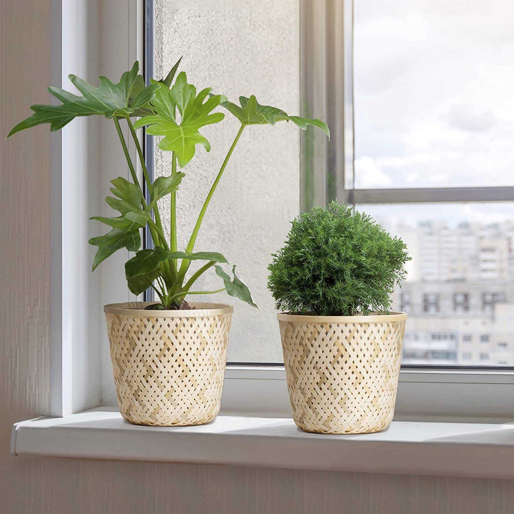 Sọt tre trắng l Sọt để vật dụng l Sọt trồng cây | Shopee Việt Nam