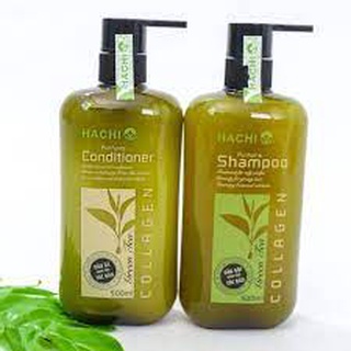 Dầu gội đầu cặp trà xanh hachi dành cho tóc dầu khắc phục tình trạng dư thừa dầu chiết xuất tự nhiên