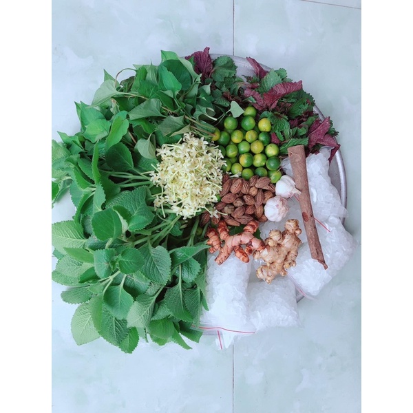 Siro Ho Thảo Mộc Húng Chanh Tuệ An An Toàn 100% Đánh Bật Ho, Đờm Cho Trẻ Em Và Người Lớn (Có Giấy Kiểm Định)