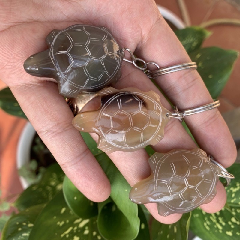 Combo 3 Móc Treo Chìa Khóa Hình Con Rùa - Lược Sừng Thụy Ứng - OTH016 ...