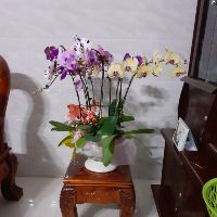 doris_lucky9