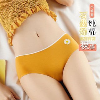 ( ĐƯỢC CHỌN MÀU ) Quần Cotton Ép Phối Họa Tiết Hoa Cúc Cực Hót .