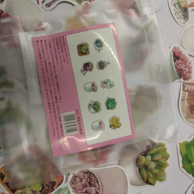 Bộ sticker xương rồng mini