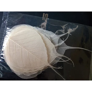 Set 10 xương lá bồ đề tự nhiên size vừa điện thoại