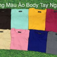 Áo thun tay ngắn babytee, áo thun body dáng chuẩn -LYLYNA A07