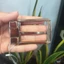 Mặt Khóa Thắt Lưng GOAT M083 Xi Vàng