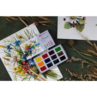 Màu Nước Nga Hãng NEVAKAYA PALITRA - Màu nước nén SONNET 12 màu set mới 🌻 Bảng màu phong cảnh và Bảng màu vẽ hoa