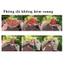 Đồ chơi phóng dù cho bé