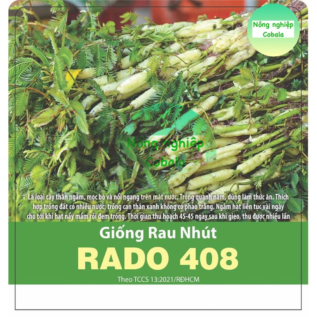 Hạt Giống Rau Nhút (Rau Rút) 1gr | Shopee Việt Nam