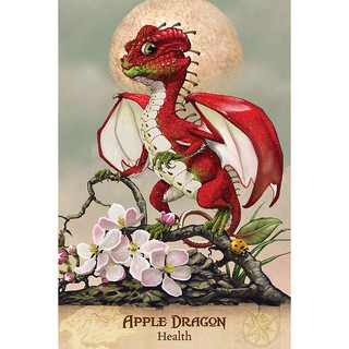 Bộ Bài Field Guide To Garden Dragons (Mystic House Tarot Shop) - Bài Gốc Authentic Chính Hãng 100%