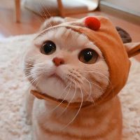 simeow1368