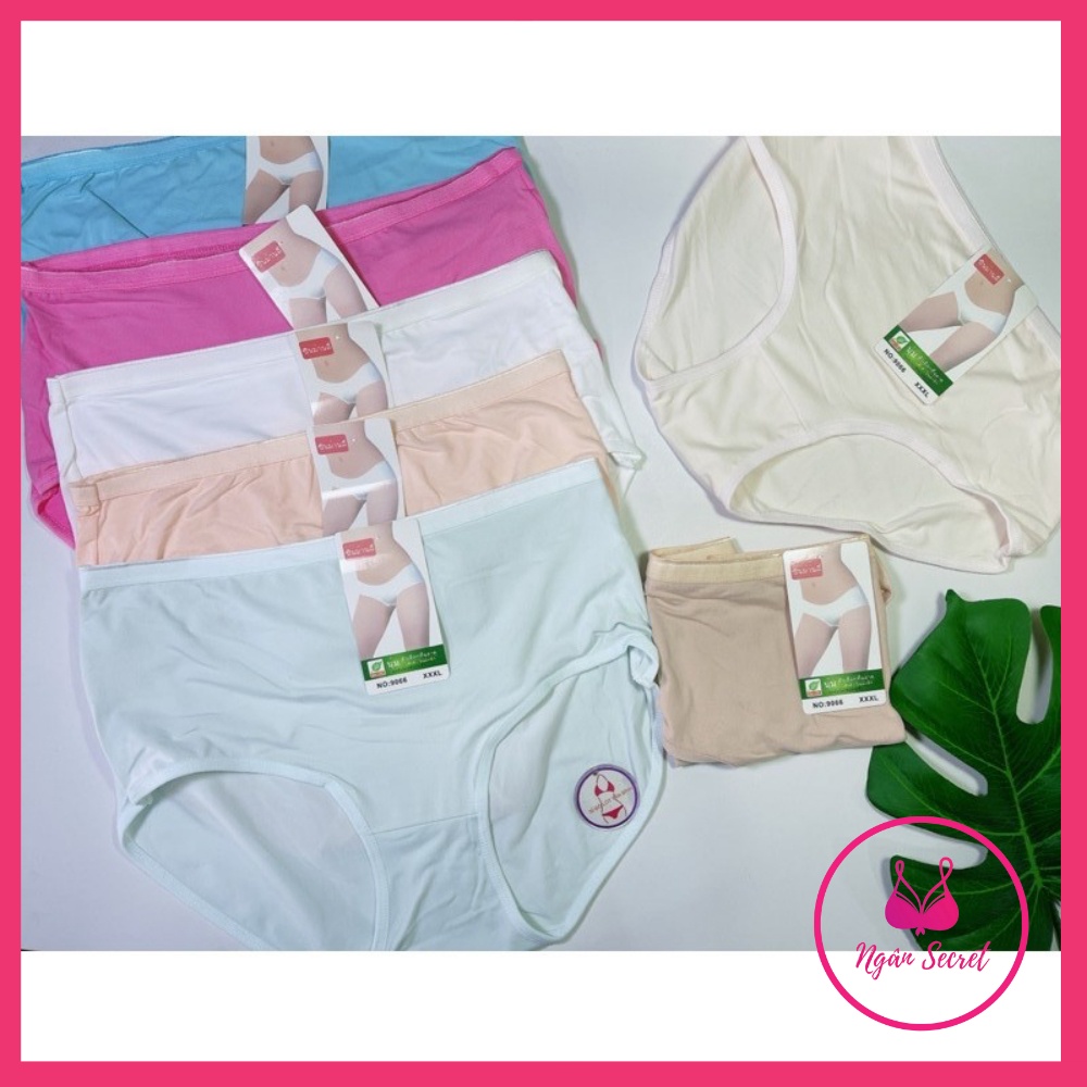 Combo quần lót nữ Cạp cao, Size lớn (50-90kg) , chất liệu cotton cao cấp, co dãn