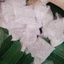 Đá sỏi trang trí chậu cây - 500g - Đá cuội sỏi chuyên trang trí bể cá, sân vườn - sỏi trắng cao cấp