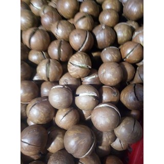 500g Hạt mắc ca sấy nứt vỏ kèm đồ khui Loại I giòn, béo, ngọt  mới sấy trong vòng 1 tuần bỏ hạt sâu, hỏng