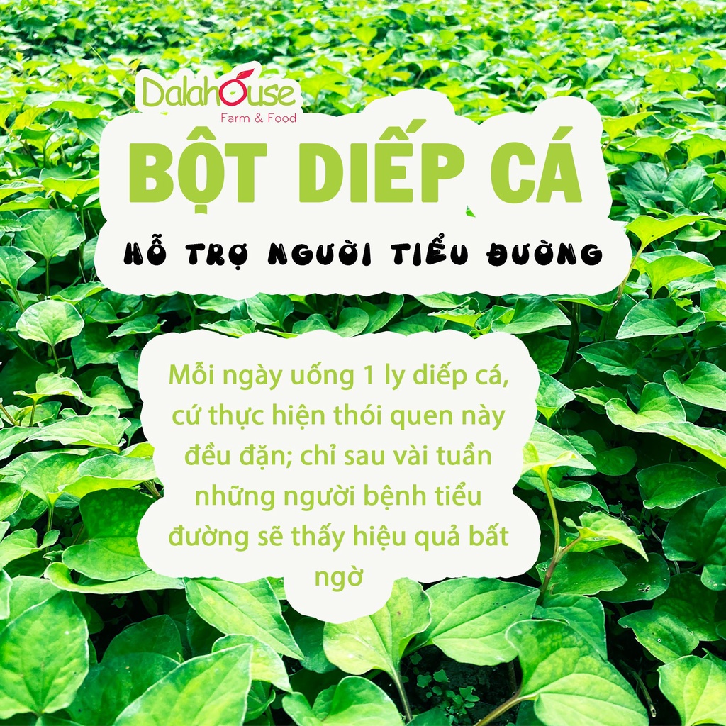 Ảnh Bột rau diếp cá Dalahouse 120g nguyên chất hữu cơ sấy lạnh công nghệ đạt chuẩn Châu Âu 1