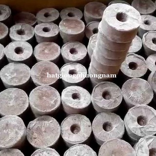 Viên Nén Ươm Hạt 50 - 100 Viên Phương Nam