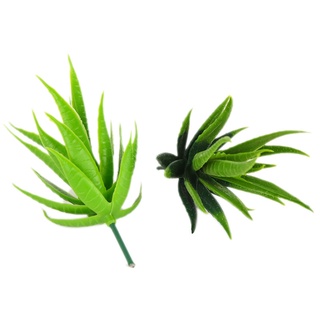 Cây Xương Rồng Giả Trang Trí Nhà Cửa