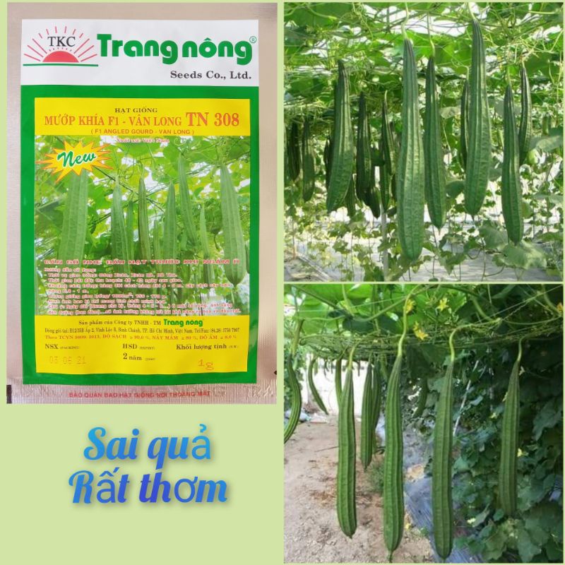 Hạt giống mướp khía Trang Nông