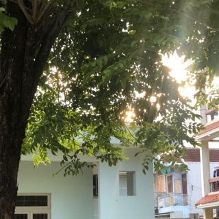 hongtham_cube