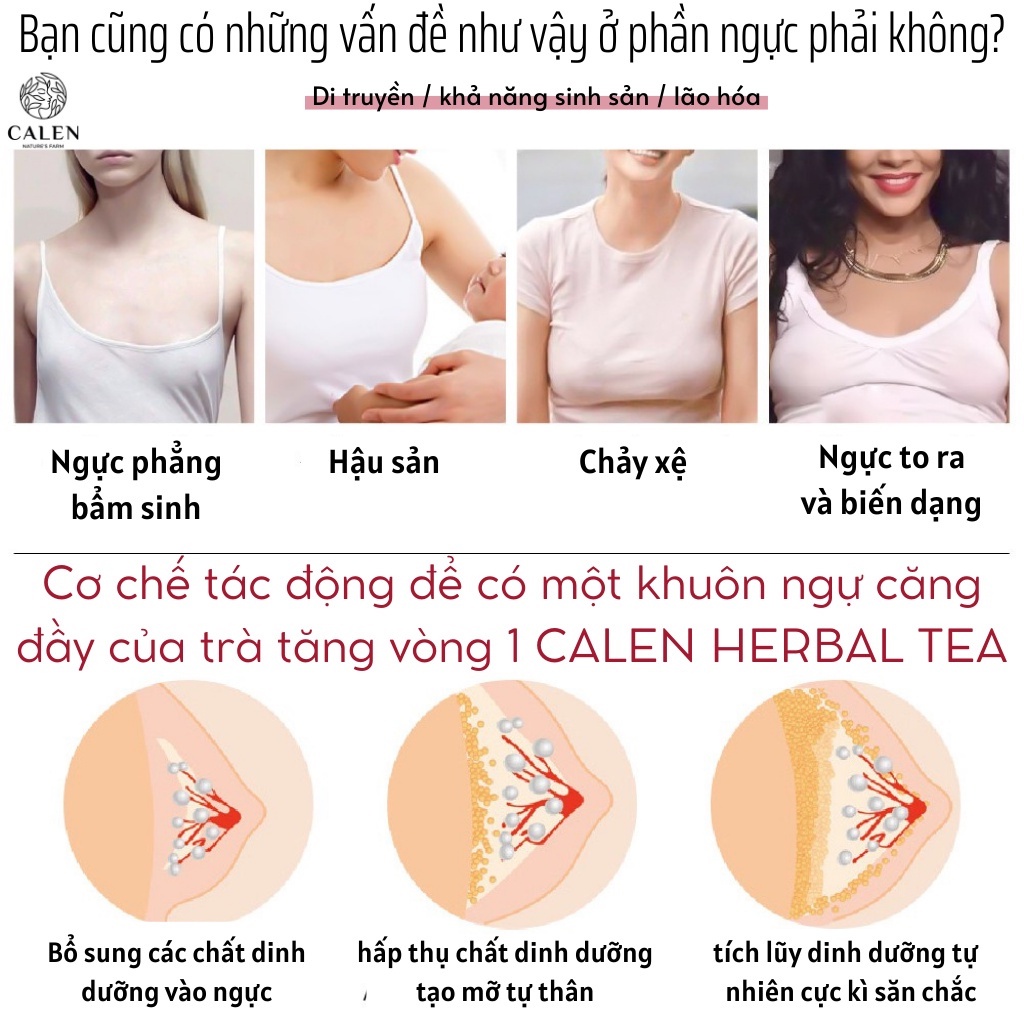 [Ngực to nhanh chóng] Trà tăng size vòng 1 nở ngực Calen Nature Farm đẩy size vòng 1 tự nhiên, cân đối, dùng từ 16 tuổi