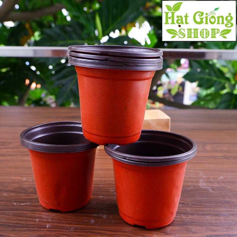 Chậu nhựa trồng cây, chậu ươm cây mỏng 8,5x7 | Shopee Việt Nam