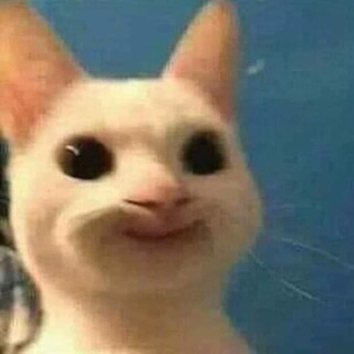 nongnhannhii