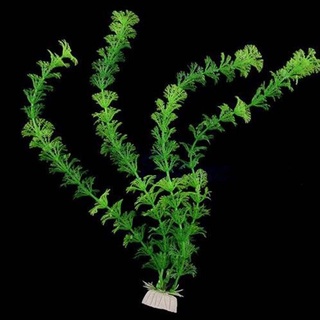 Mô Phỏng Nhựa Nước Cỏ Cây Xanh Sống Động Dưới Nước Cây Bể Cá Cảnh Quan Trang Trí Thủy Sinh Thú Cưng
