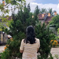myphuong249