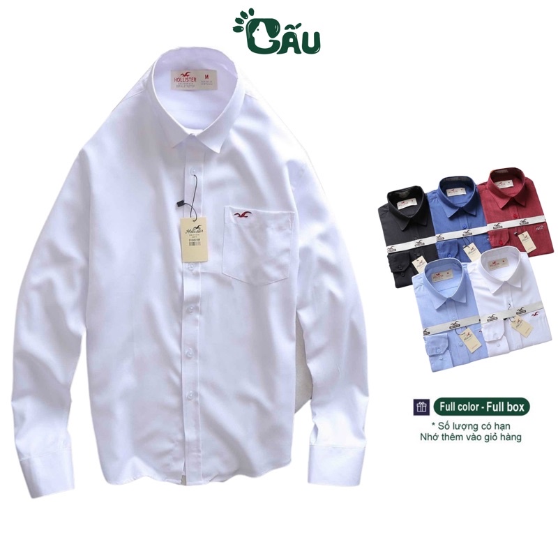 Áo Sơ mi Nam Gấu 194 vải oxfold mềm mịn, ít nhắn, co dãn nhẹ, form regular sang chảnh – HOLLÍTER