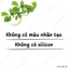 Dầu Gội Xả Dove Bóng Mượt Từ Hoa Sen Và Dầu Jojoba 500gx2 Jojoba Botanical Selection
