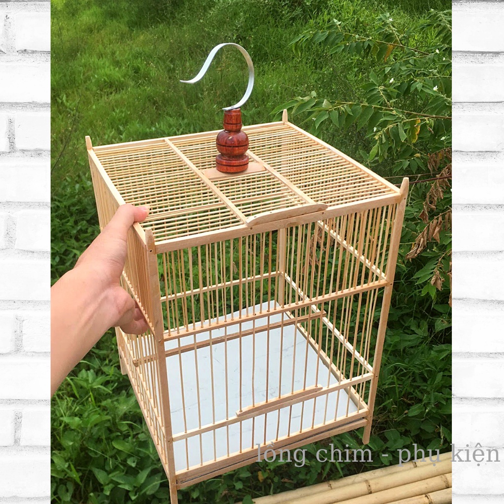 lồng chim chào mào đẹp giá rẻ
